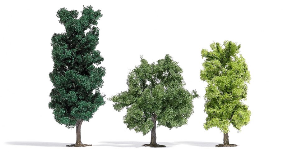 Хвойные и широколиственные деревья