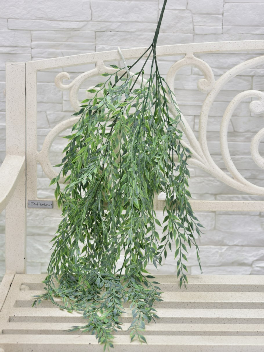 Лобелия ампельная регата