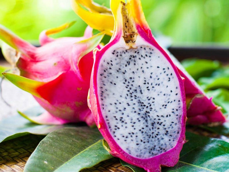 Роза питахайя