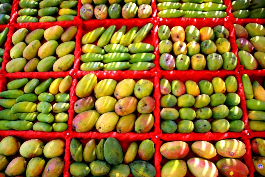 Мушмула синяя