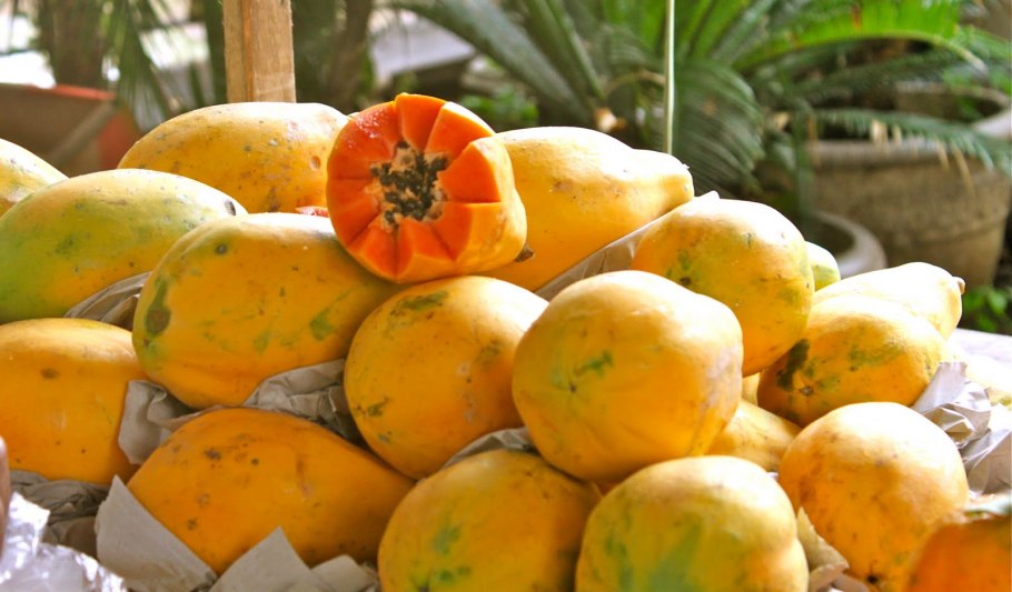 Манго в Каире