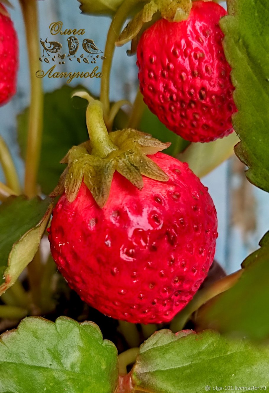 Клубника с