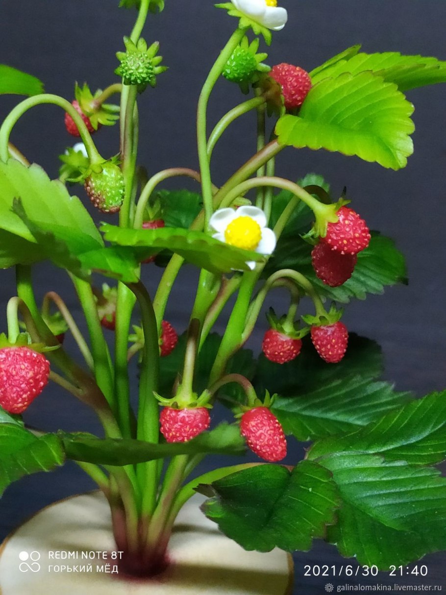 Нашатырь для клубники