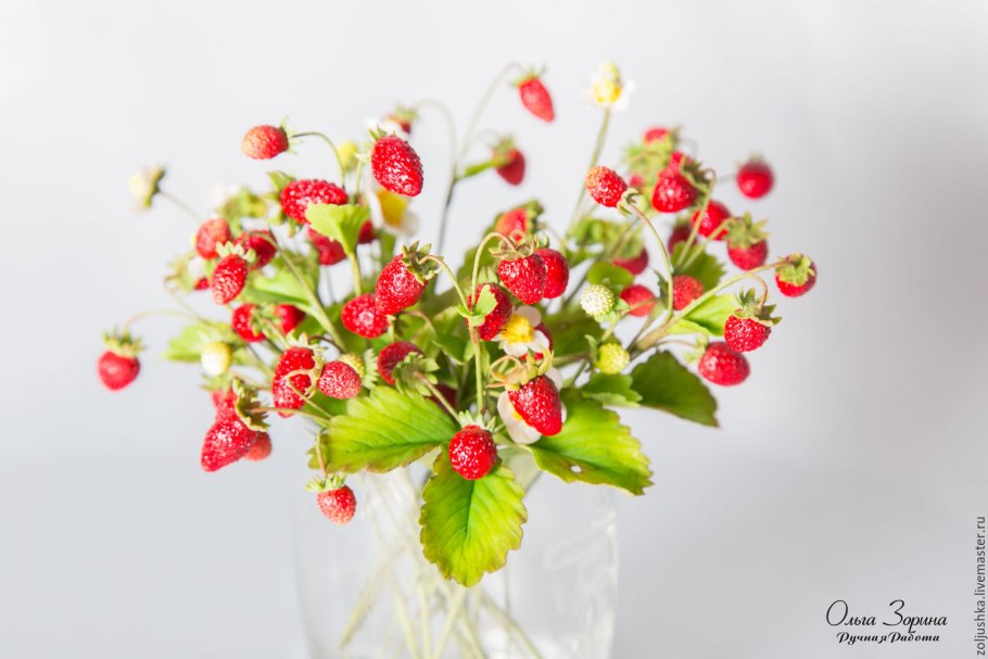 Вальдштейния тройчатая