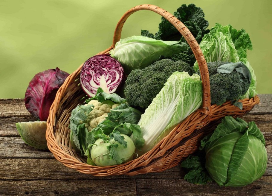 Капуста красивая