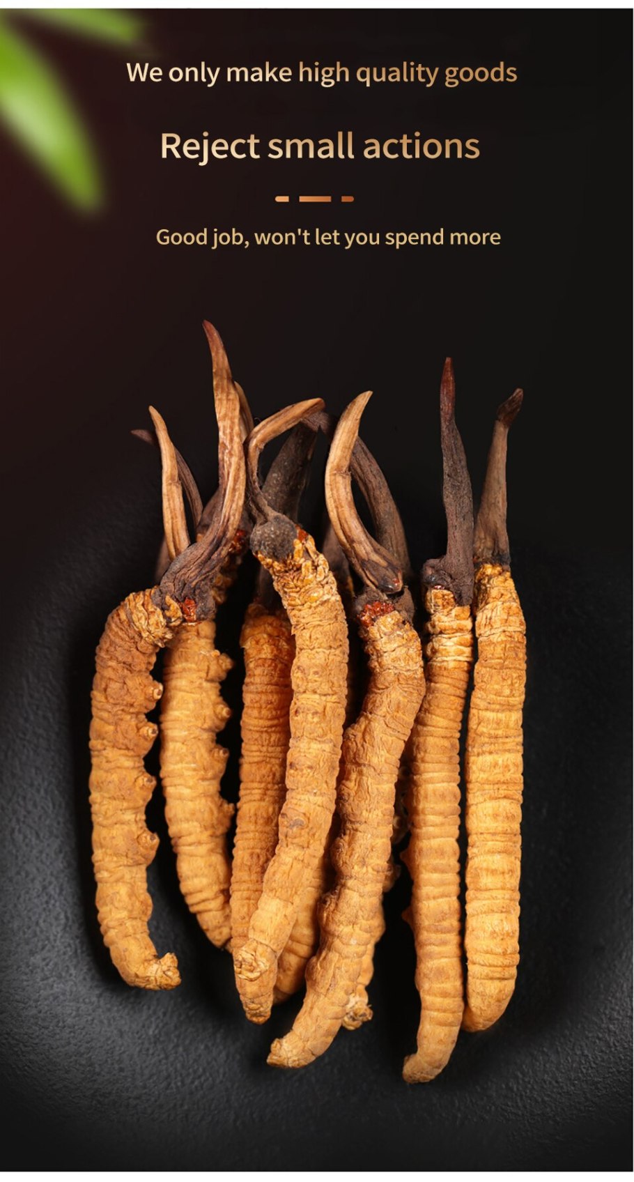 Гималайский кордицепс