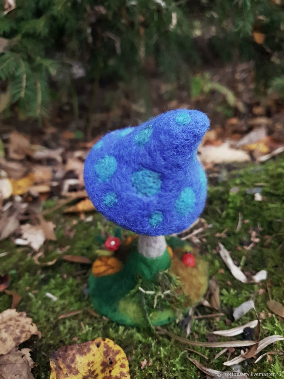 Пластинчатый гриб мокруха