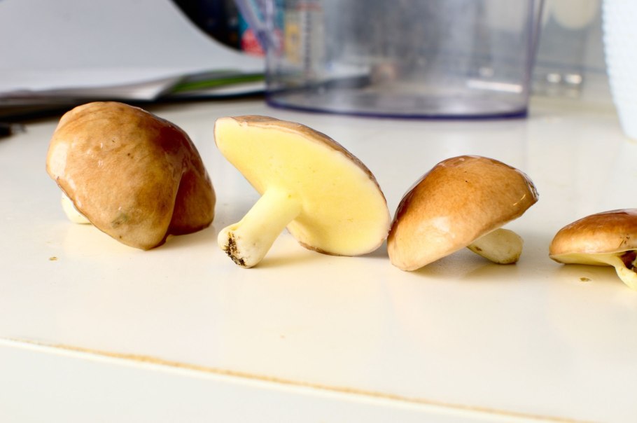 Грибы маслята витамины