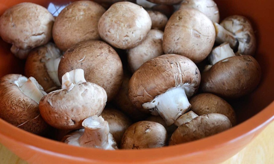 Сибирские шампиньоны