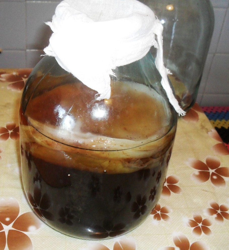 Мерзкий чайный гриб