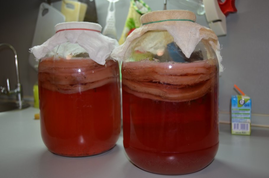 Квас из чайного гриба