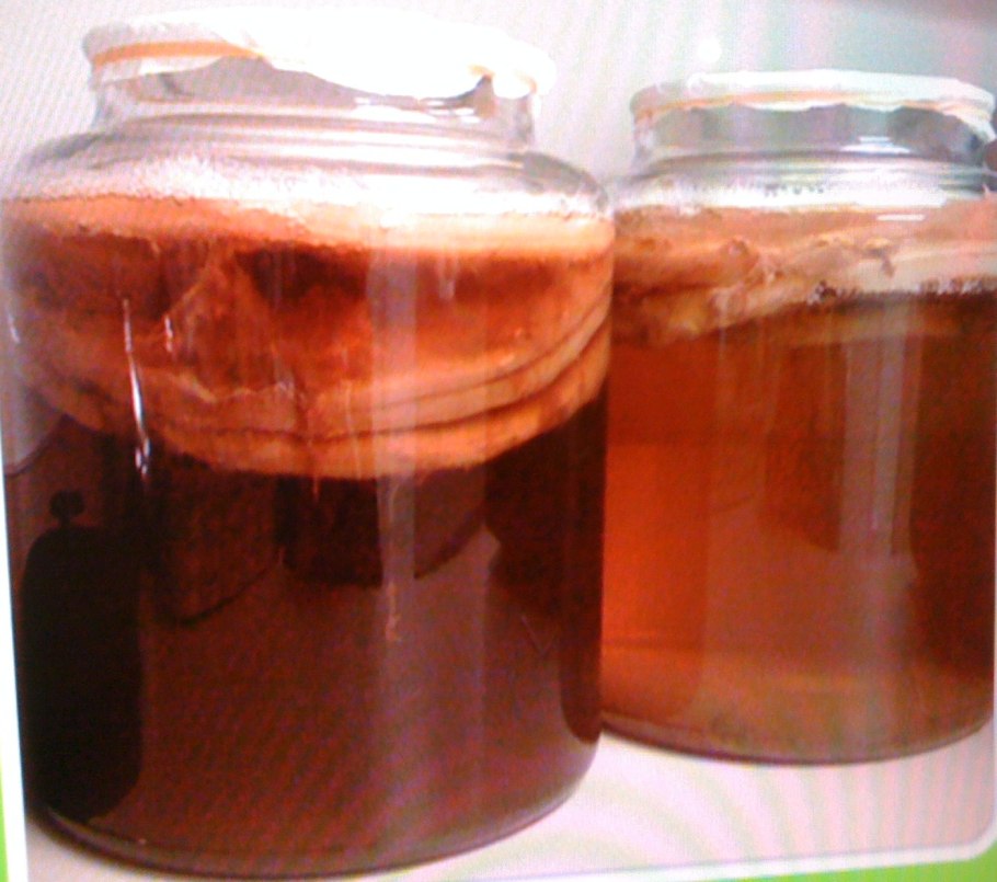 Чайный гриб квас