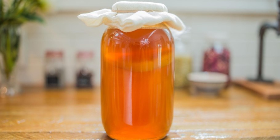 Чайный гриб "Kombucha Box"