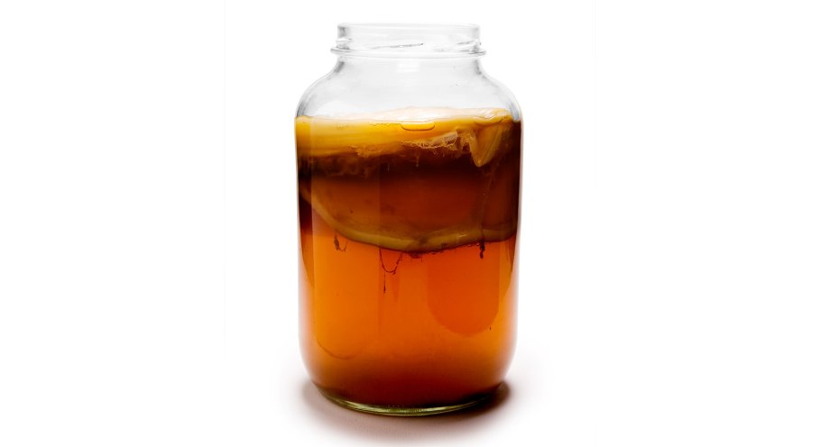 Чайный гриб комбуча