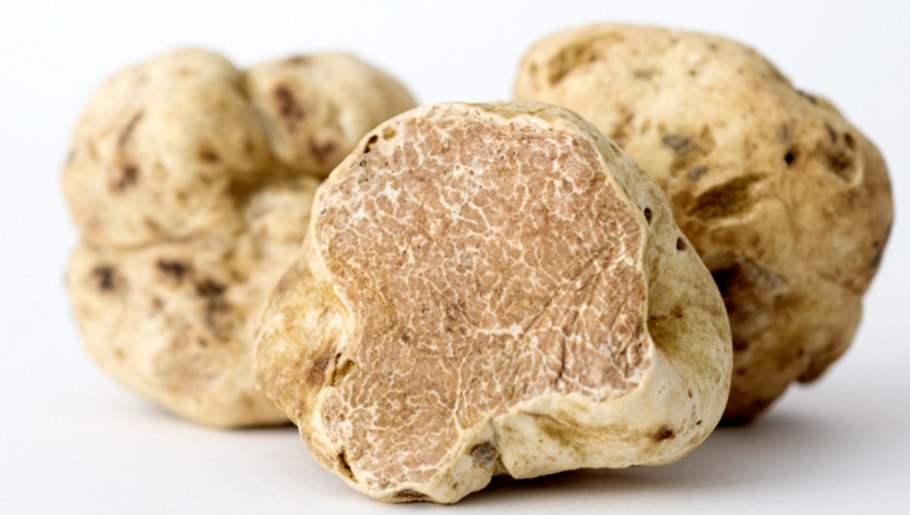 Крымский белый трюфель