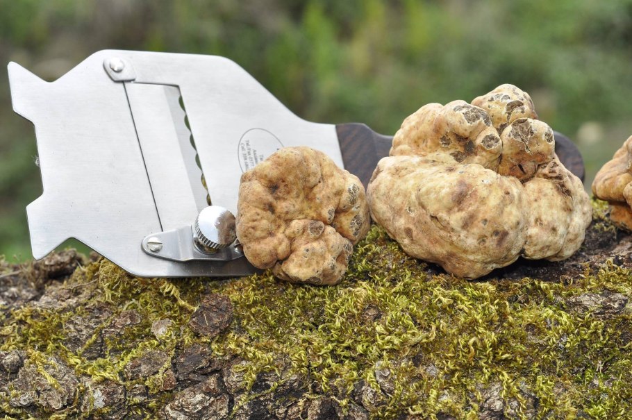 Земляной трюфель