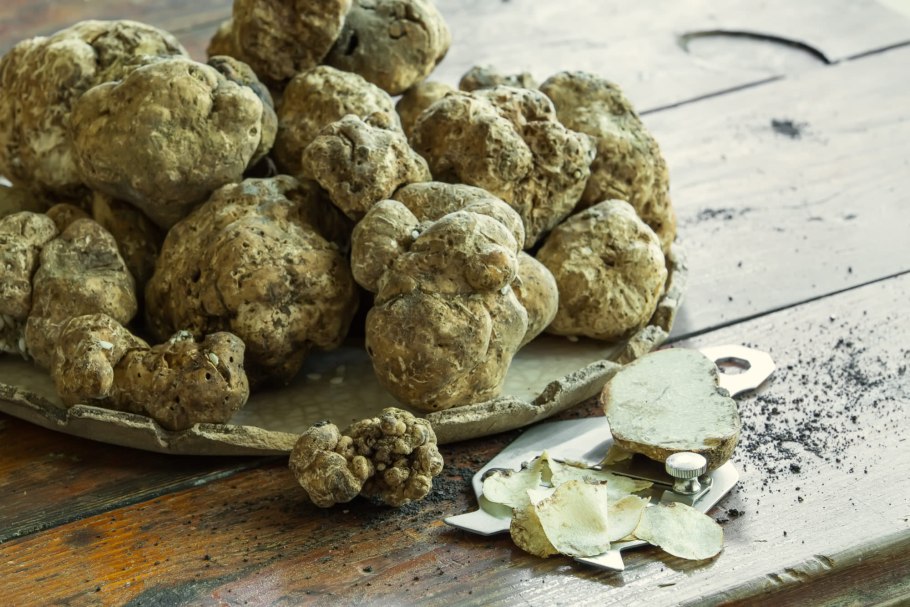 Тосканский трюфель