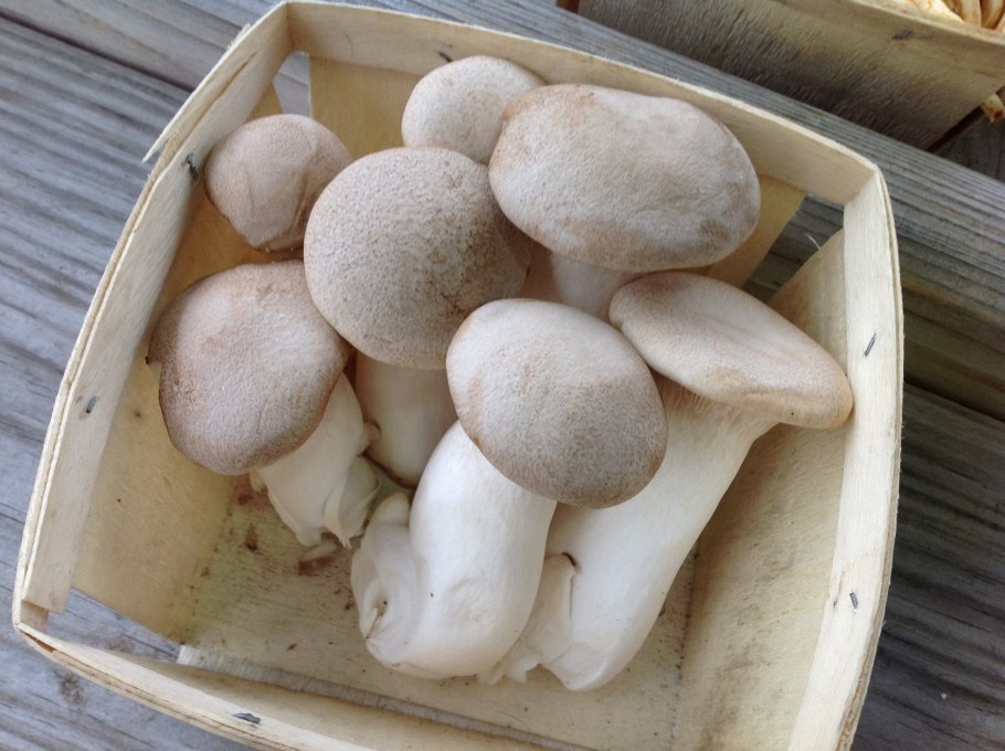 3 Сорт белых грибов