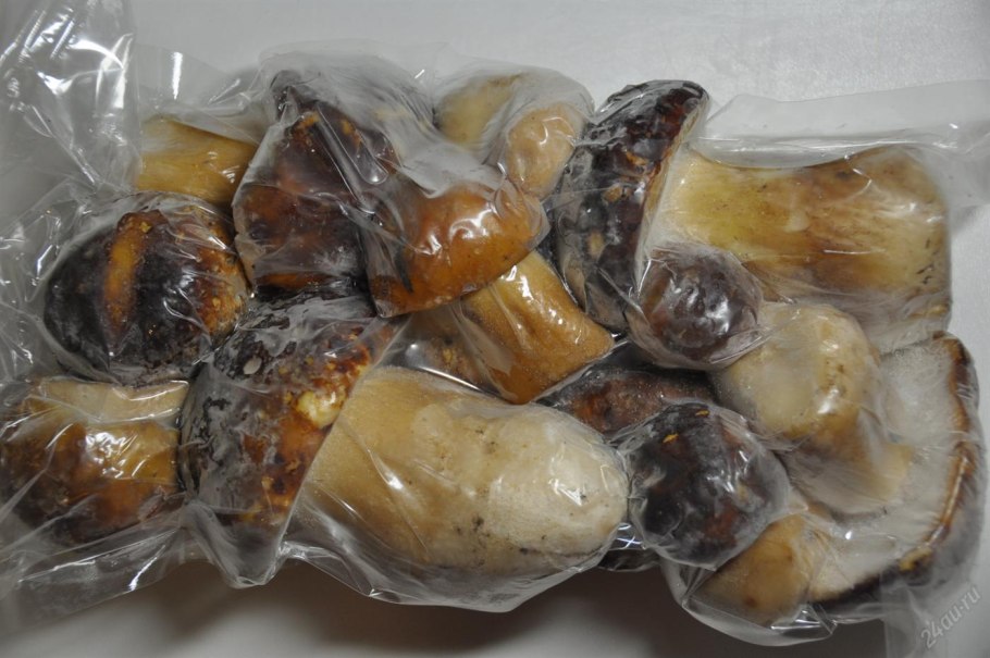 Гриб белый кубик