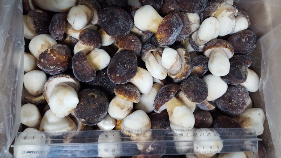 Подосиновики замороженные