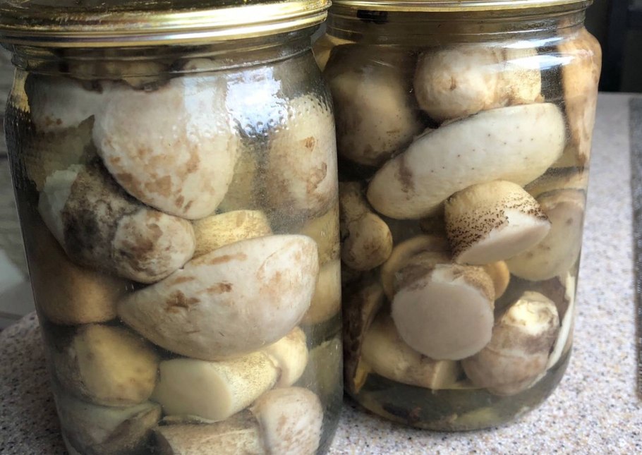 Приготовленные грибы белые грибы