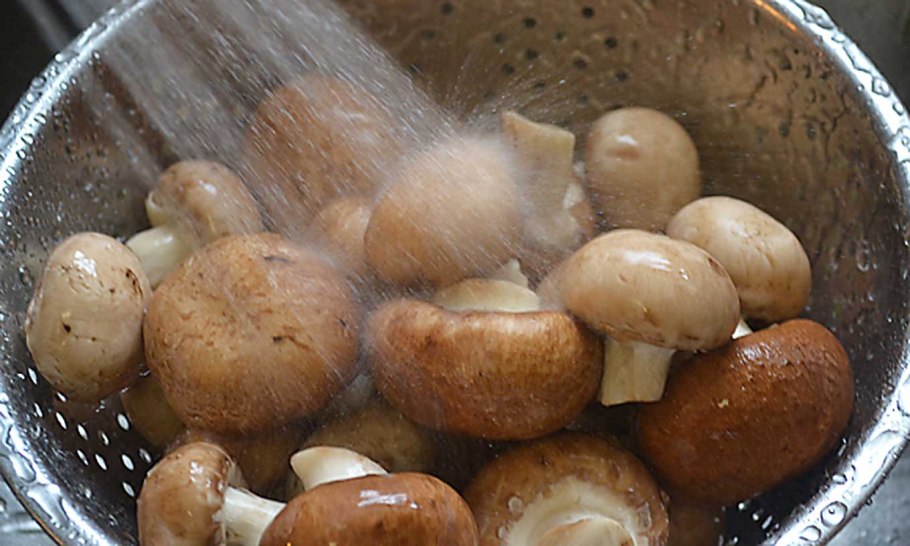 Варка шампиньонов