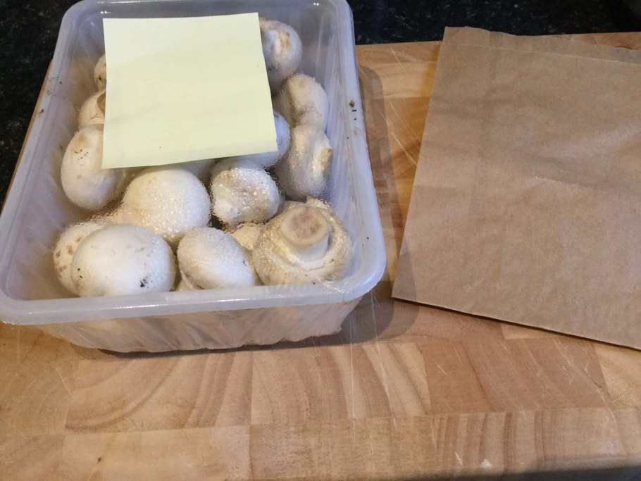 Грибы белые свежие