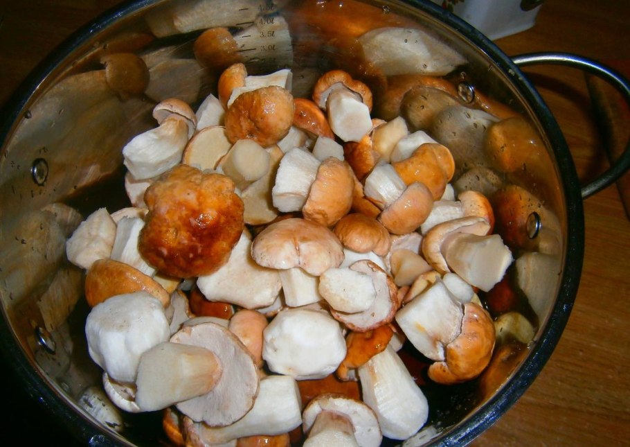 Белые грибы свежемороженные