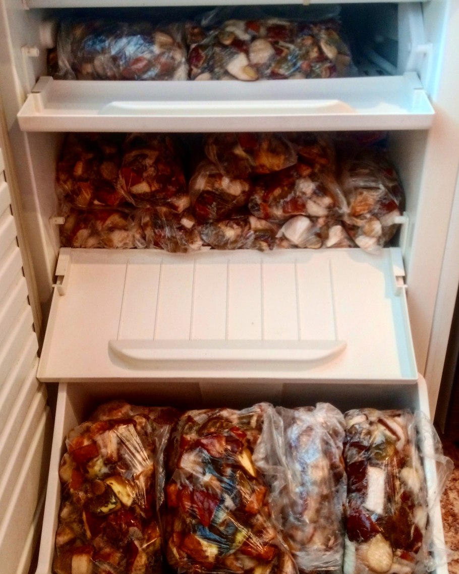 Белый гриб в руке