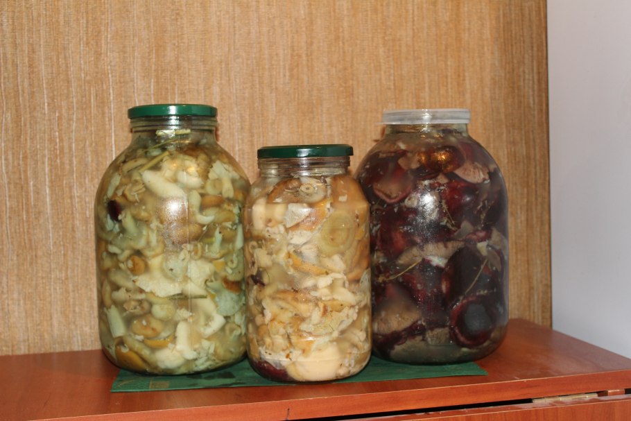 Подтопольники грибы маринованные