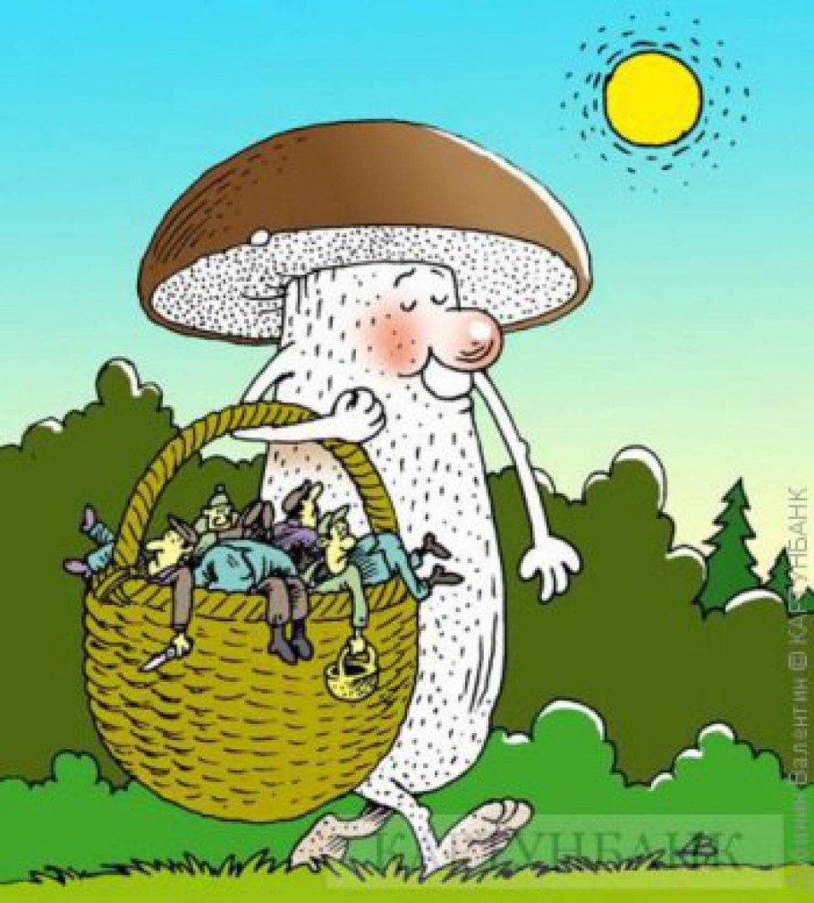 Гриб навозник белый