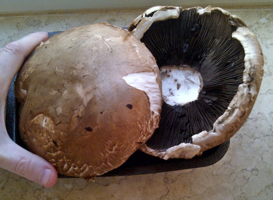 Шампиньоны под шляпкой