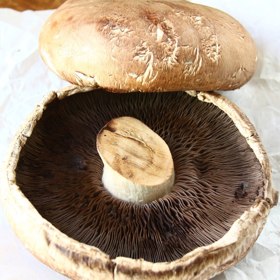 Грибы шампиньон Портобелло