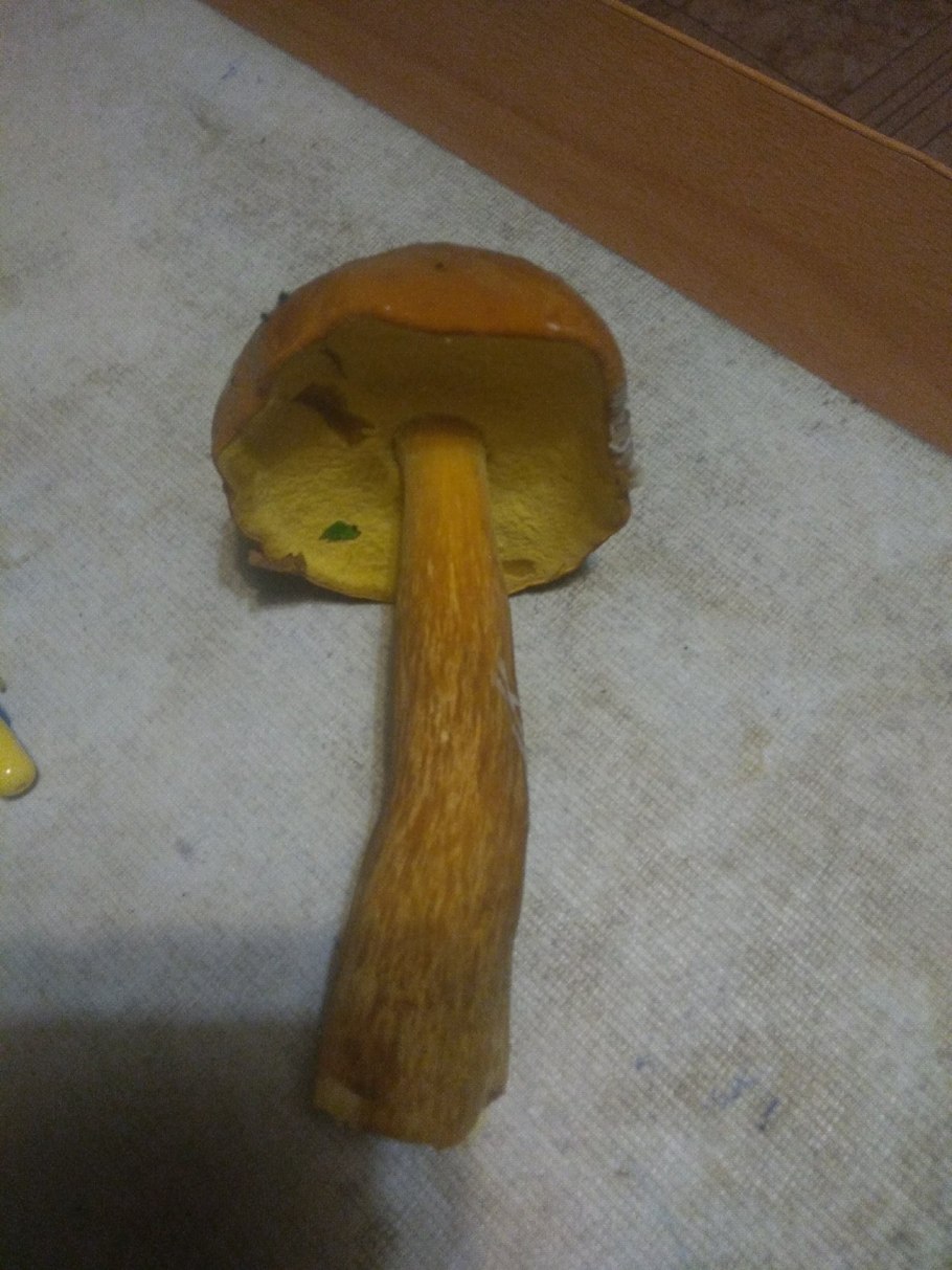 Гриб который синеет