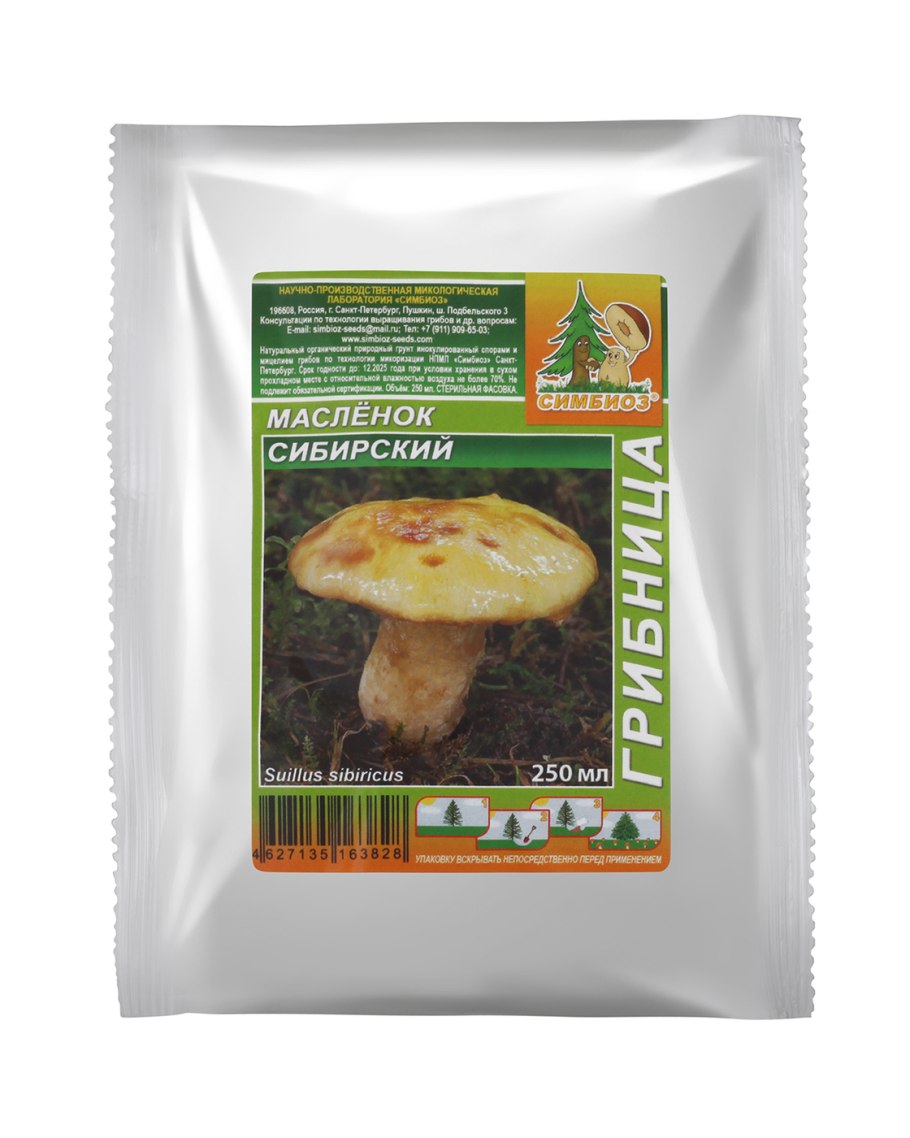 Грибы маслята витамины