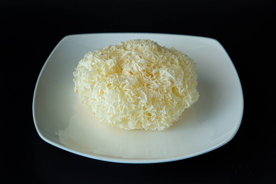 Гриб коралловый шитаки