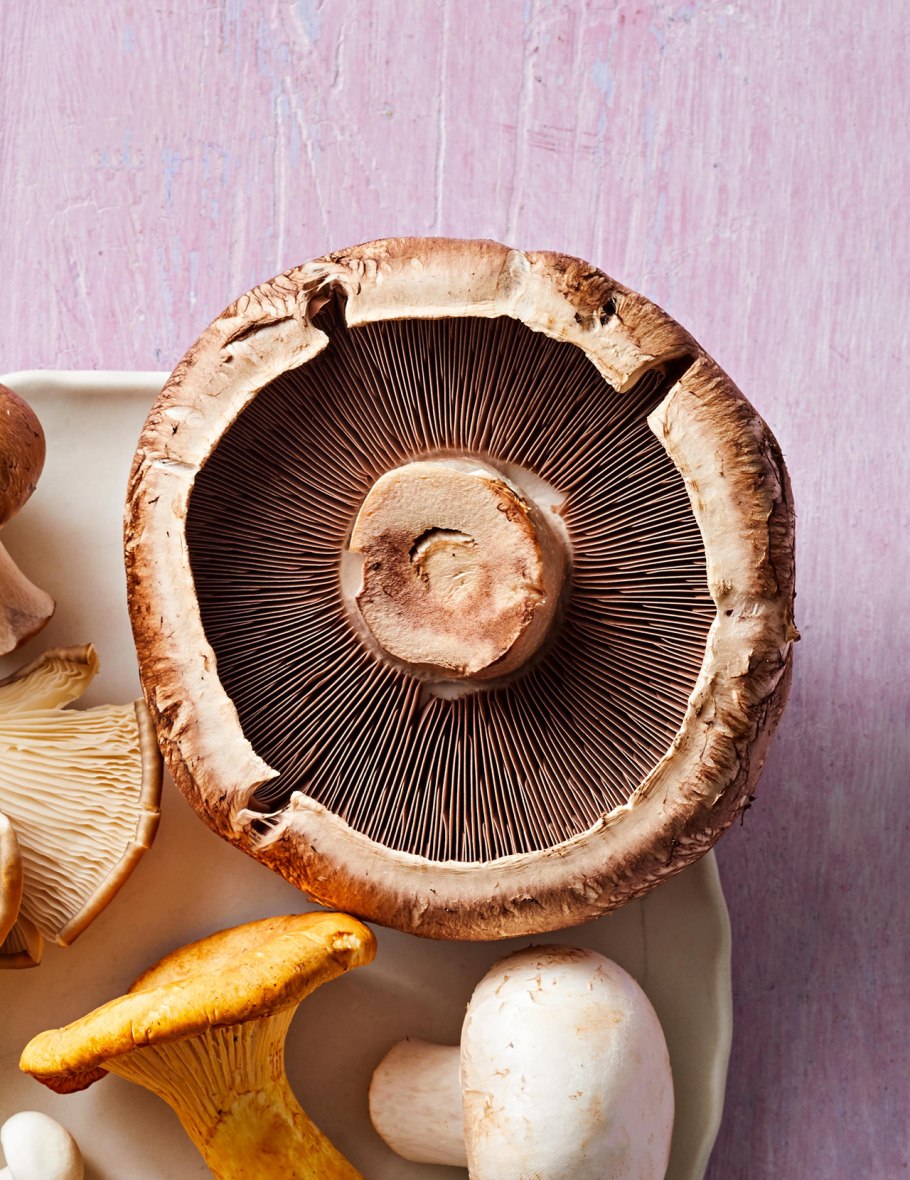 Грибы рядовки коричневые съедобные