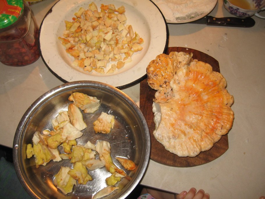 Трутовик серно желтый