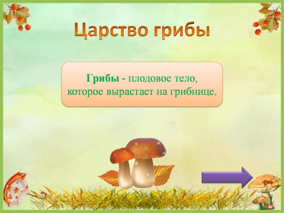 Грибы часть живой природы