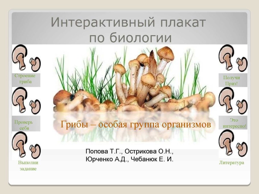 Плакат по биологии про грибы