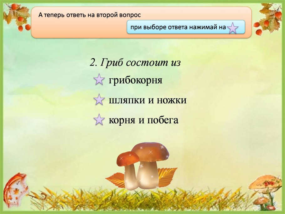 Из чего на 90 состоят грибы