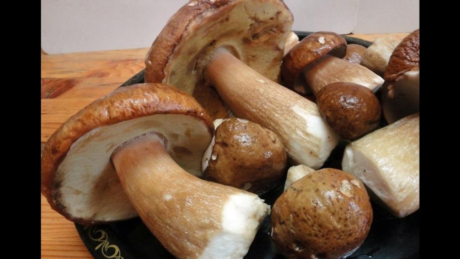 Аппетитные грибы