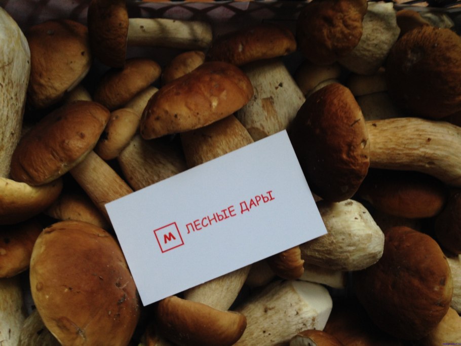 Грибы ассортимент