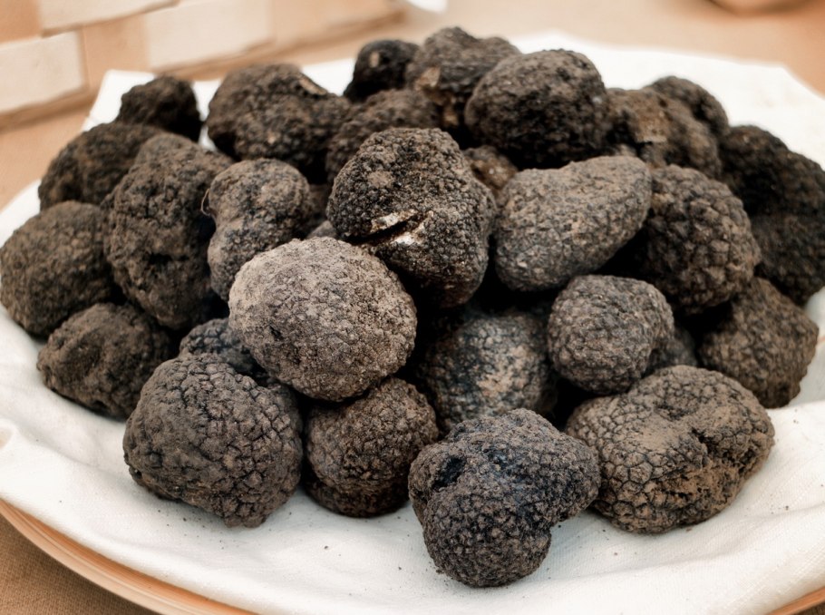 Черный перигорский трюфель