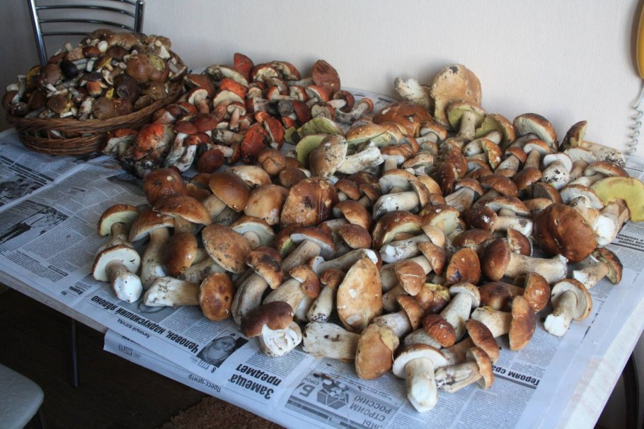 Боровики грибы маринованные