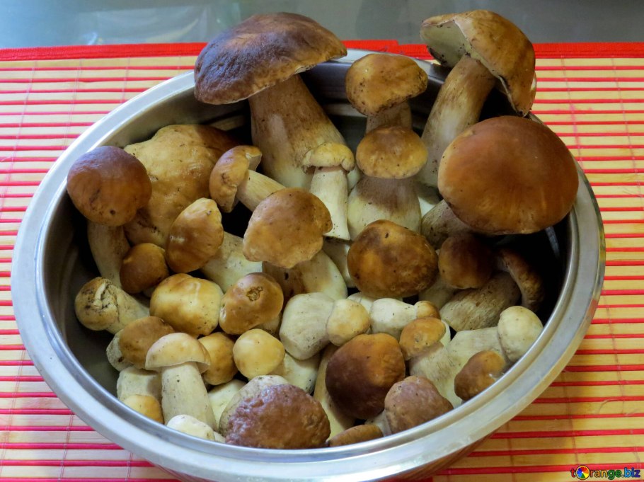 Грибы на столе