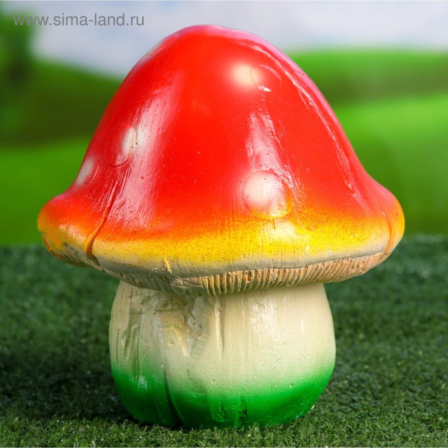 Старые Шляпочные грибы