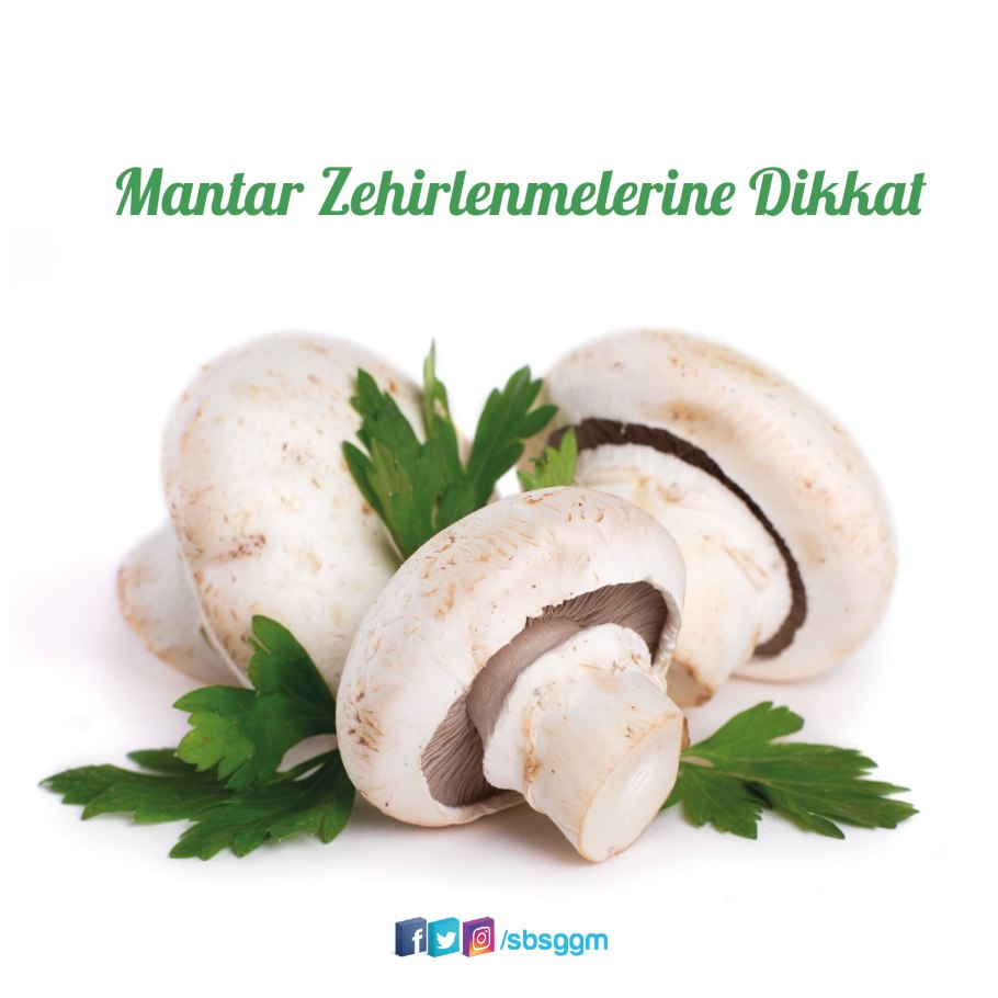 Шампиньоны крупные