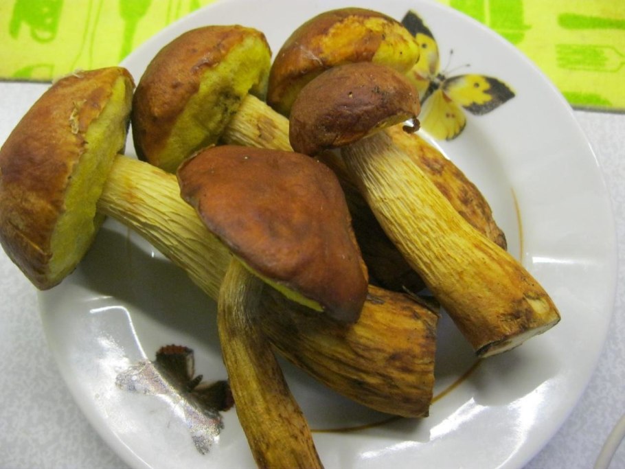 Желтый белый гриб