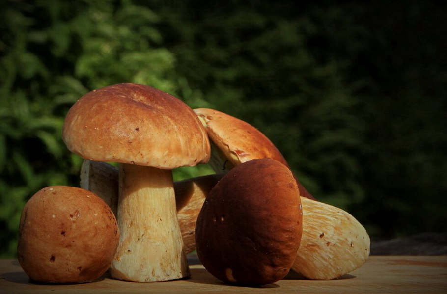 Открытка тик Листопадник 7 октября